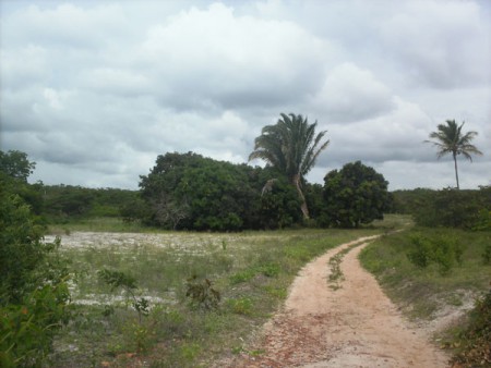 caminho da loca sentido á guarani